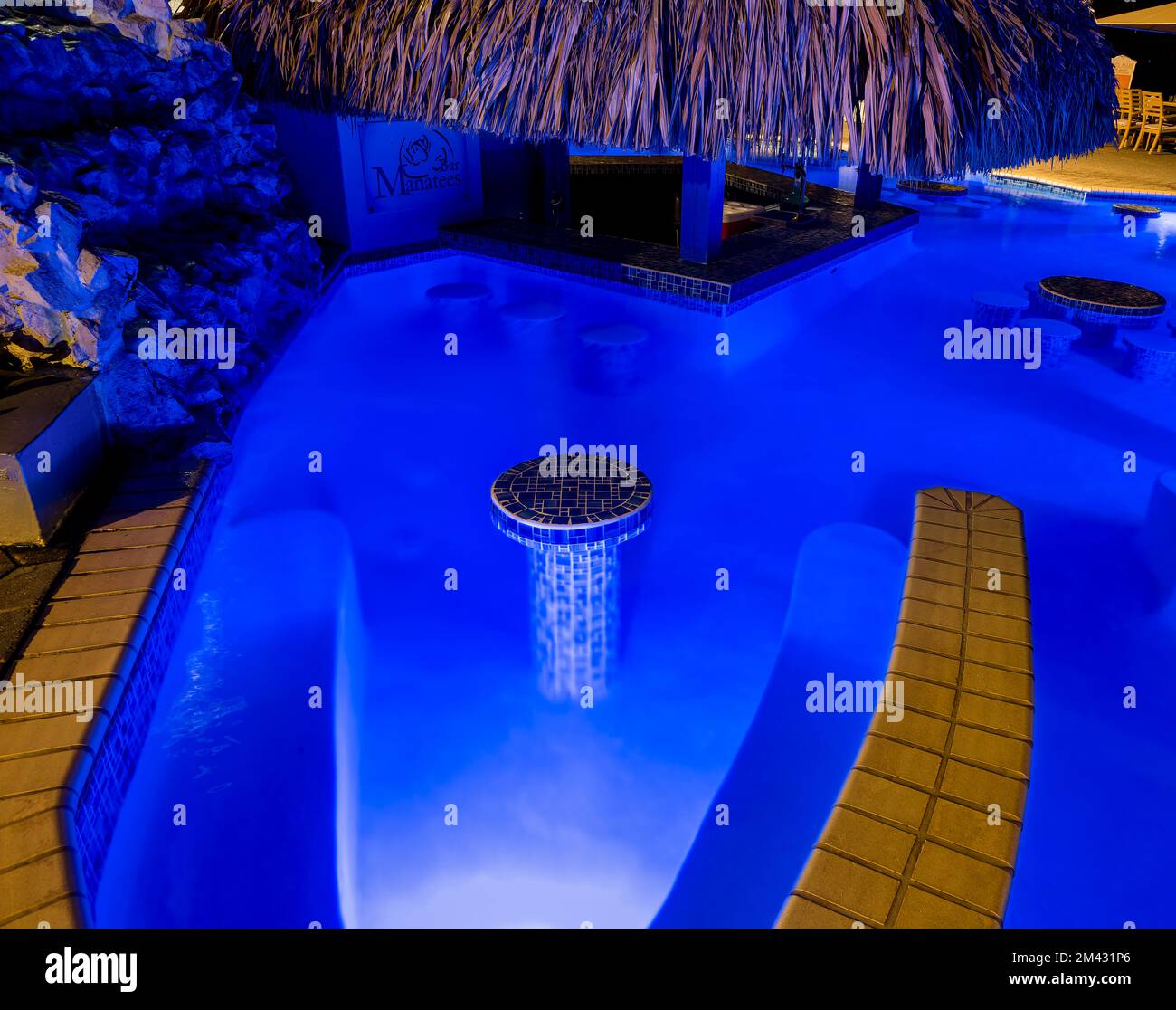 Seekühe schwimmen in der Bar im Sunscape Resort, Willemstad, Curacao, Niederländische Antillen Stockfoto