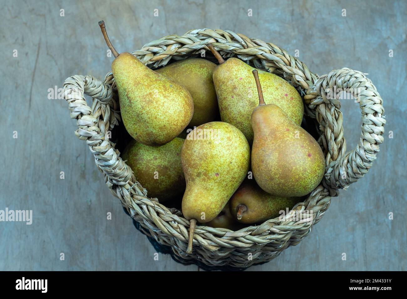 Birnen im Korb auf einem hölzernen Hintergrund. Obsternte. Stillleben im Herbst. Pear Variety Bera Konferenz. Vitaminfutter. Stockfoto