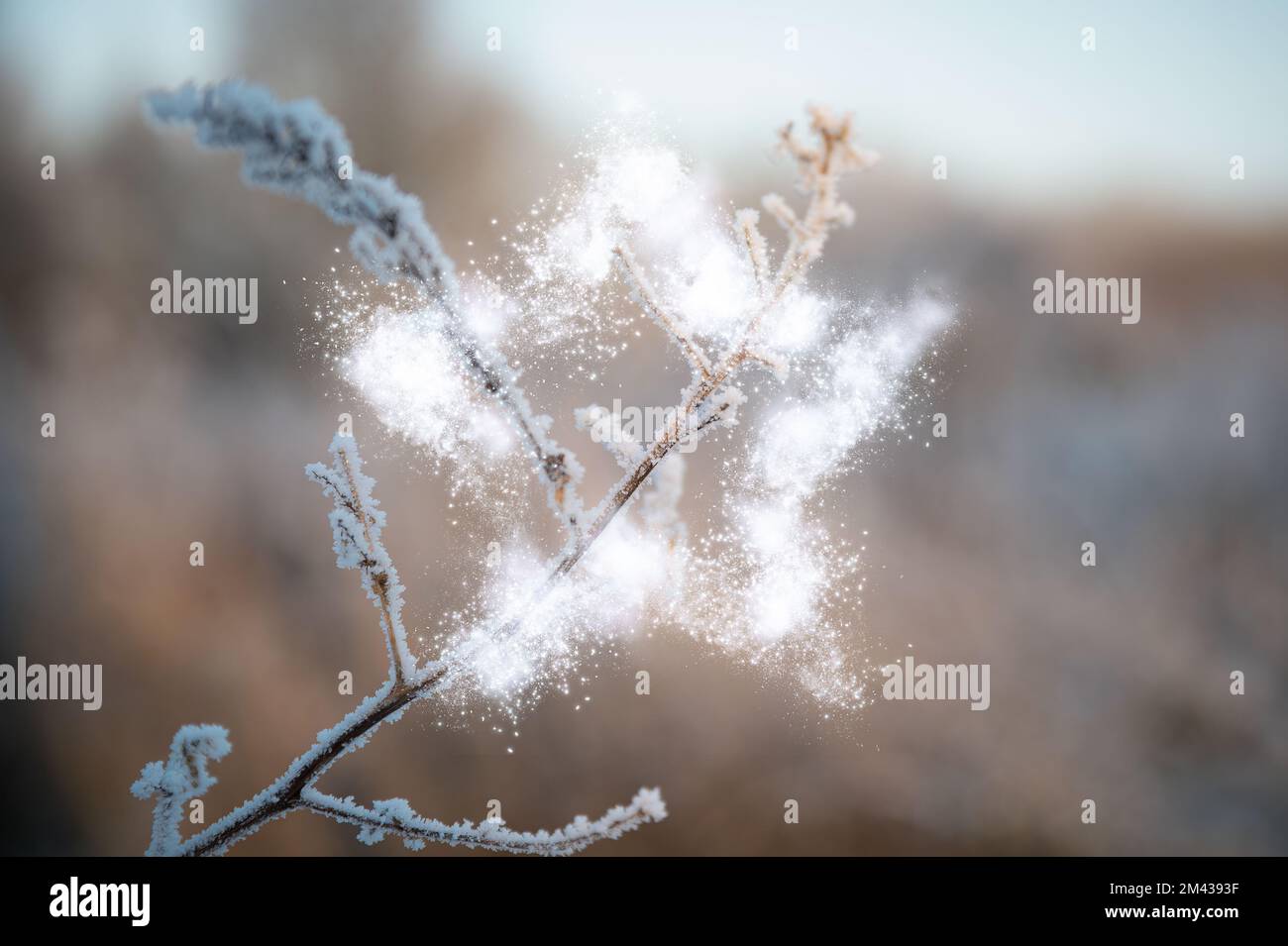 Frost Stockfoto