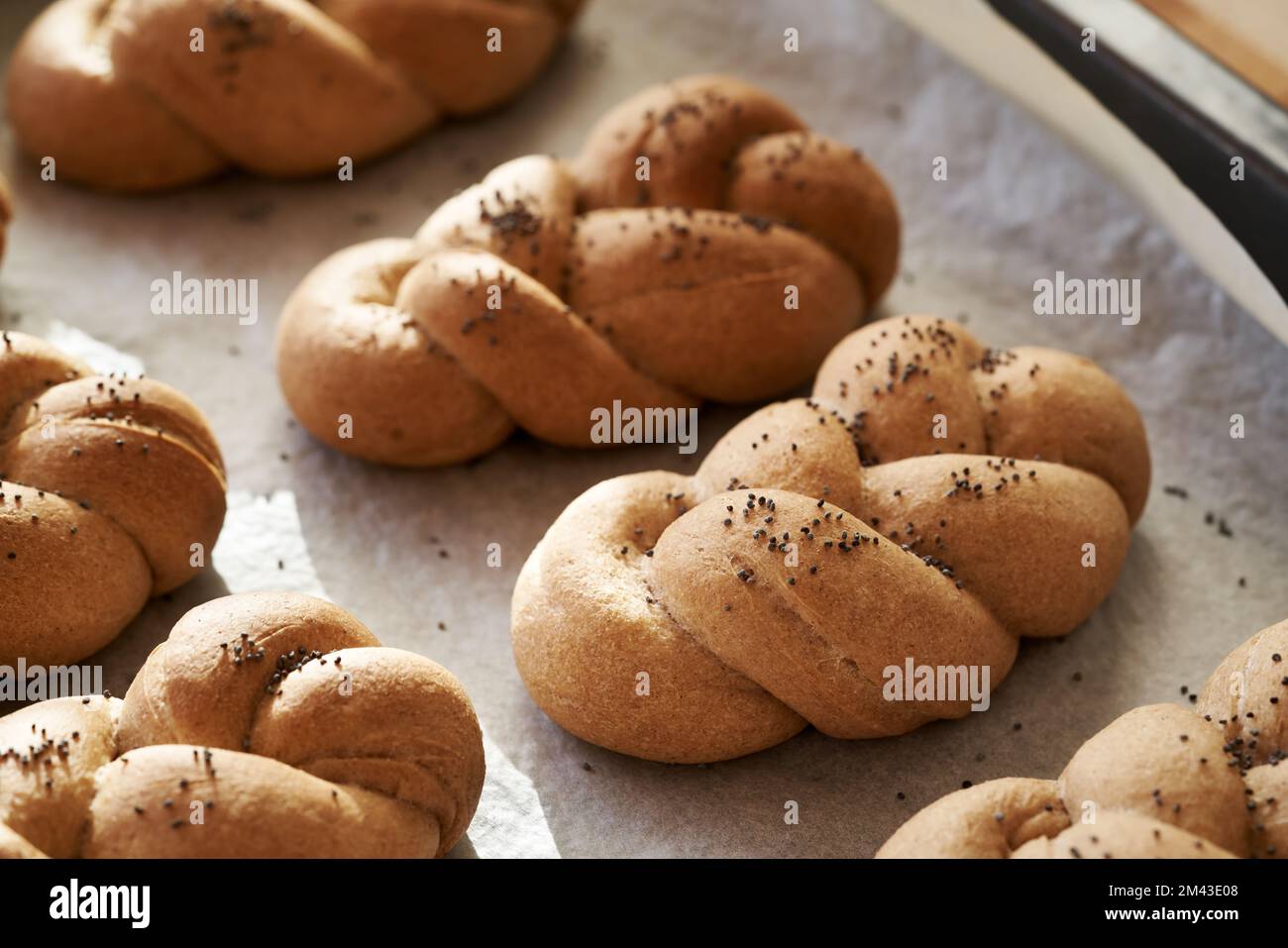 Gebackene, geflochtene Brötchen oder Brötchen aus Vollkornspelzmehl, mit Mohnsamen bestreut Stockfoto