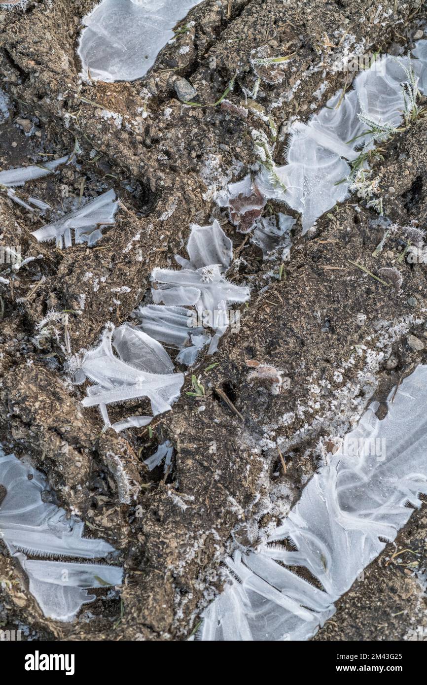 Nahaufnahme von gefrorenem Wasser auf großen Traktorschienen des Betriebs. Für kaltes Wetter