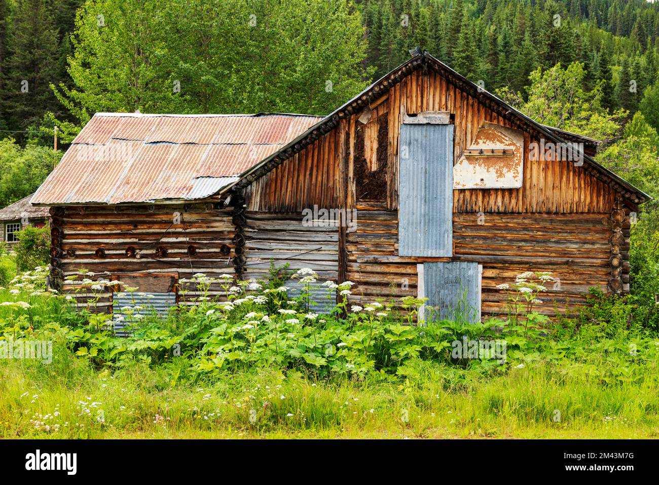 Rustikale und veraltete verlassene Blockhütte; Dease Lake; British Columbia; Kanada Stockfoto