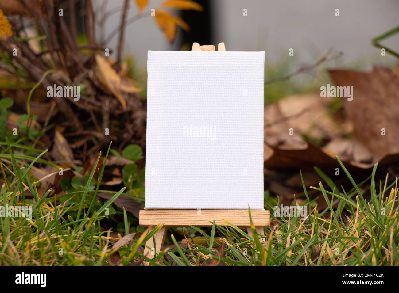 Eine hölzerne Staffelei mit einem weißen Gemälde steht auf dem Gras im Park, Platz für Text, leerer Platz Stockfoto