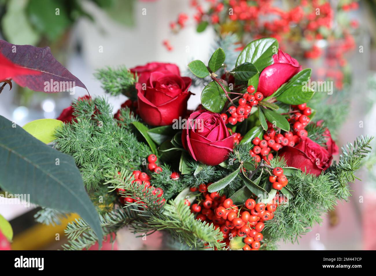 Blumenstrauß für Weihnachten. Stockfoto