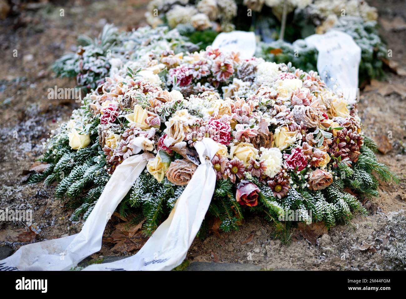 Bestattungskranz mit Schleife und farbenfrohen Pastellblumen auf einem Grab, bedeckt mit Eisfrost Stockfoto