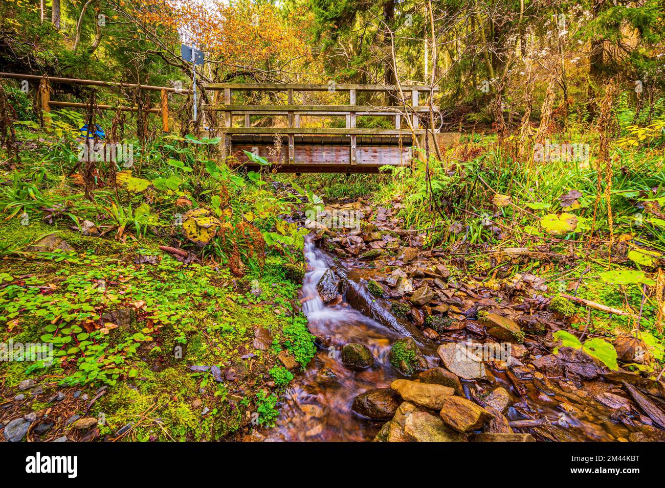 Langzeitanzeige eines kleinen Bachs im Schoenjungferngrund im Erzgebirge unterhalb des Fichtelbergs, Oberwiesenthal, Sachsen Stockfoto