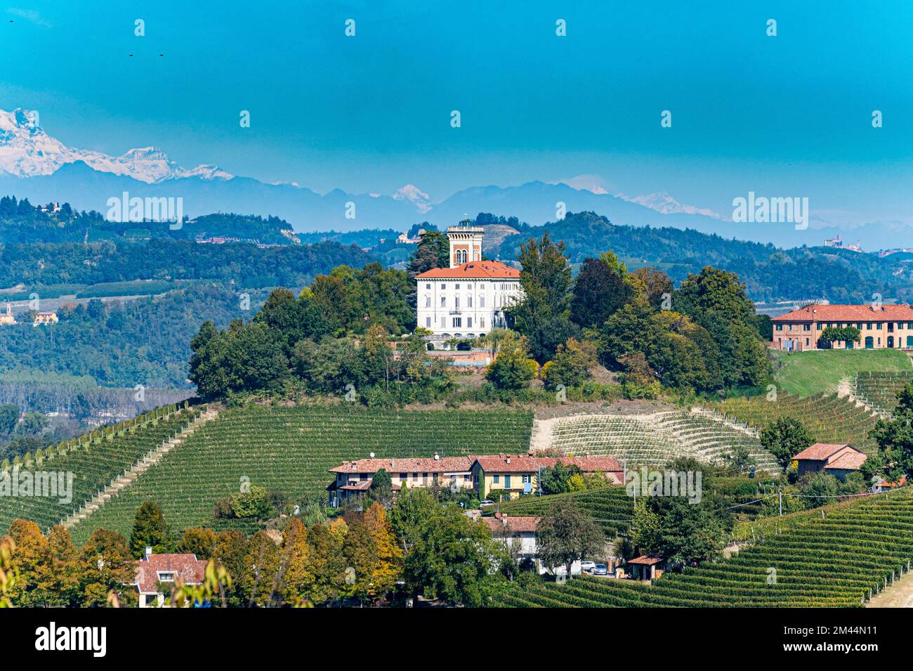 Weinberge vor den Alpen im UNESCO-Weltkulturerbe Piemont, Italien Stockfoto