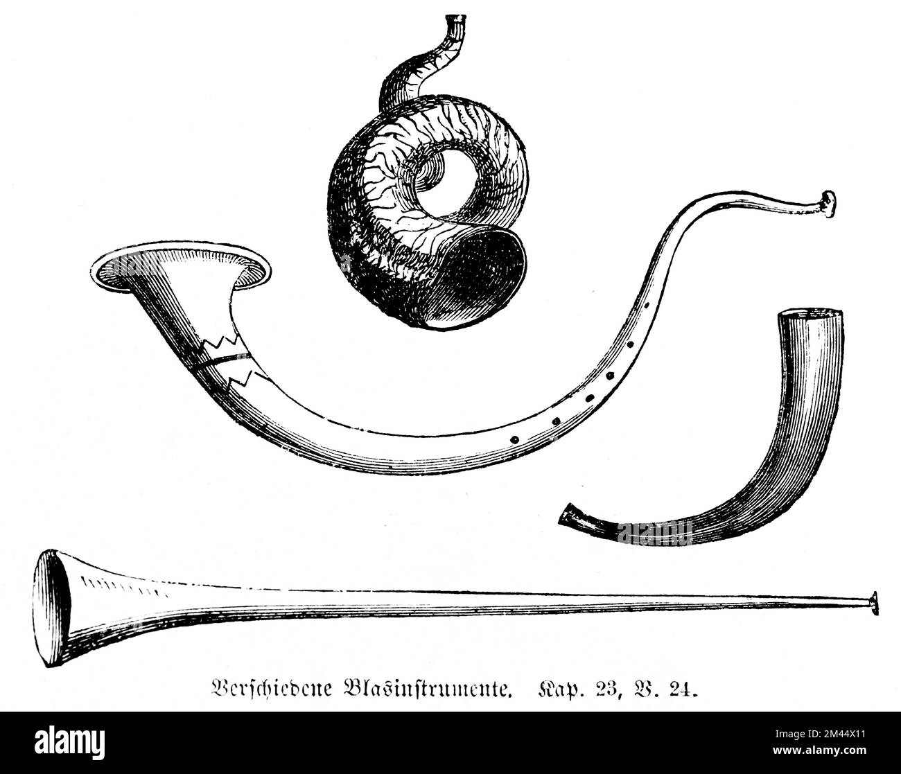 Verschiedene Windinstrumente, Leviticus Kapitel 23 Vers 24, Bibel, historische Illustration 1850 Stockfoto