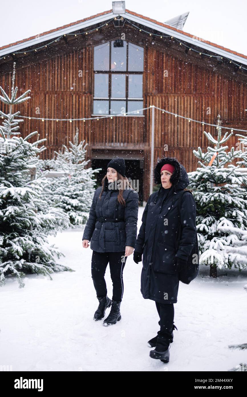 Schwiegertochter hilft, Weihnachtsbaum für Schwiegermutter im Freien zu kaufen. Verschneit Stockfoto