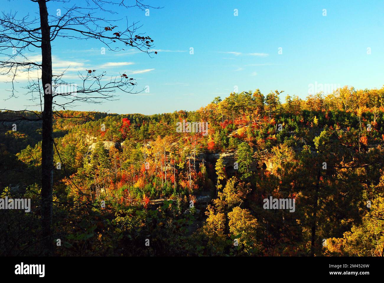 An einem sonnigen Herbsttag im Wald erwachen die Herbstfarben entlang der Bergkämme zum Leben Stockfoto