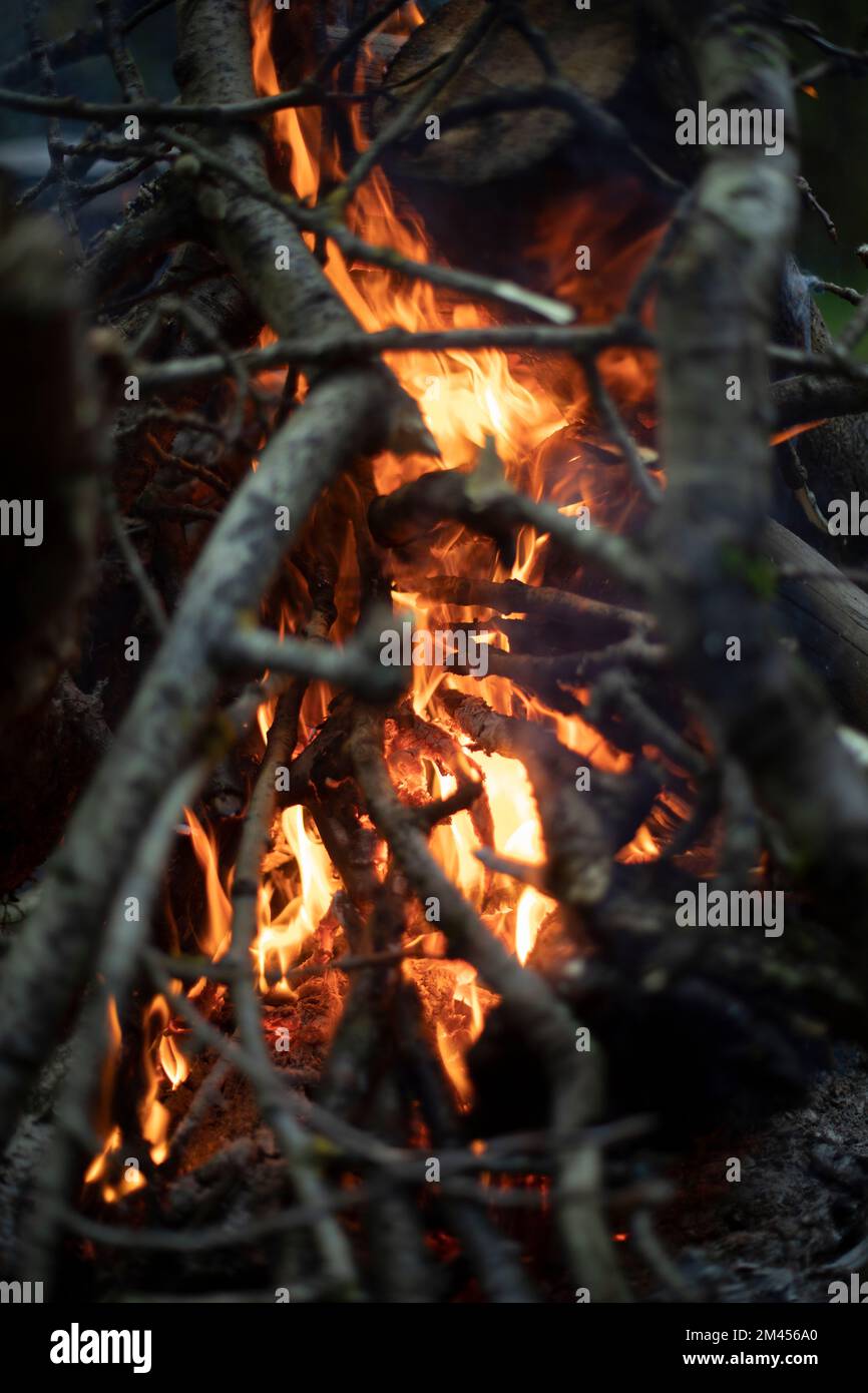 Feuer im Wald. Die Flamme ist gelb. Verbrennung von trockenen Ästen. Großes Feuer. Stockfoto