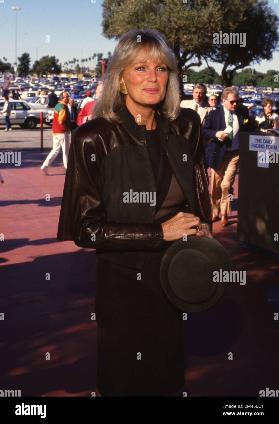 Linda Evans beim zweiten jährlichen Breeders' Cup am 21. November 1987