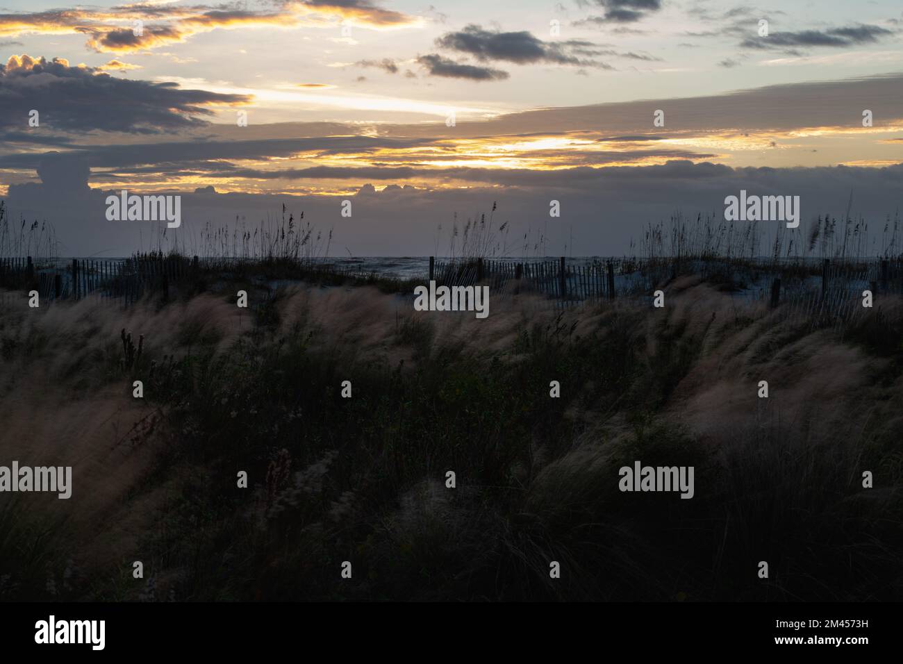 Farbenfroher Sonnenaufgang über einem weißen Sandstrand mit Hafer im Vordergrund. Isle of Palms, South Carolina. Stockfoto