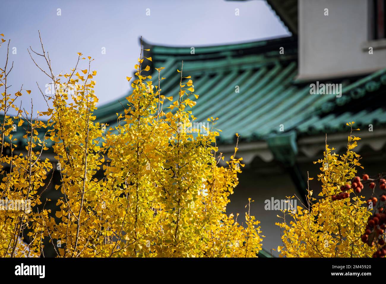 Nagoya Castle, Nagoya, Japan Stockfoto