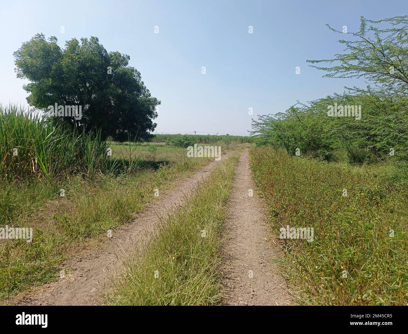 Blick auf die Indian Village Road - Schlammstraße, die mit dem ländlichen Gebiet verbunden ist, auf beiden Seiten Ackerland. Stockfoto