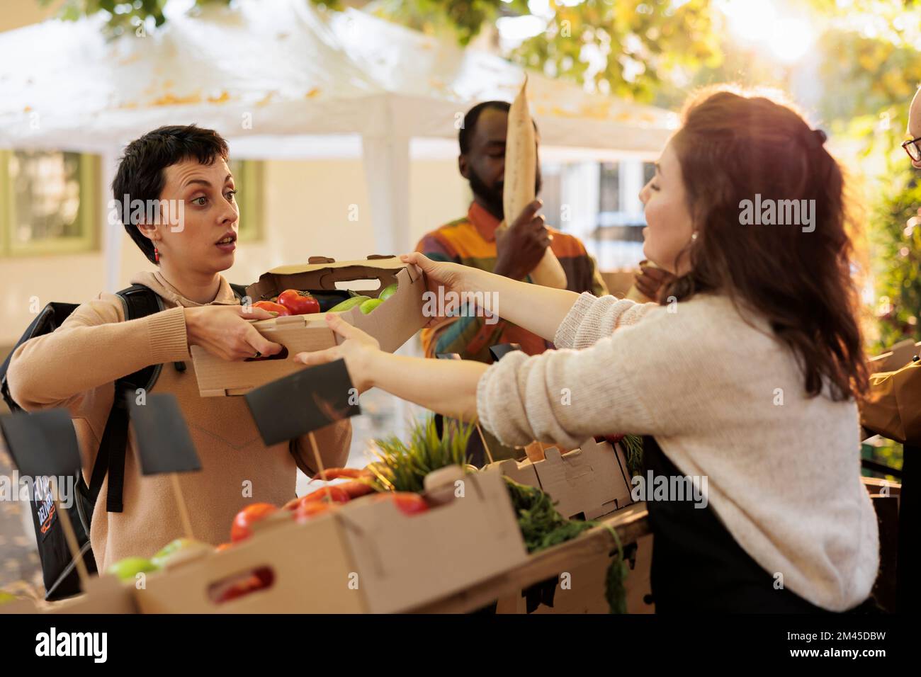Vom Bauernhof bis zur Haustür. Junge Frau trägt Liefertasche und holt Bestellung auf dem Lebensmittelmarkt ab, liefert gesunde frische Bio-Produkte aus der lokalen Landwirtschaft in Schachteln. Stockfoto
