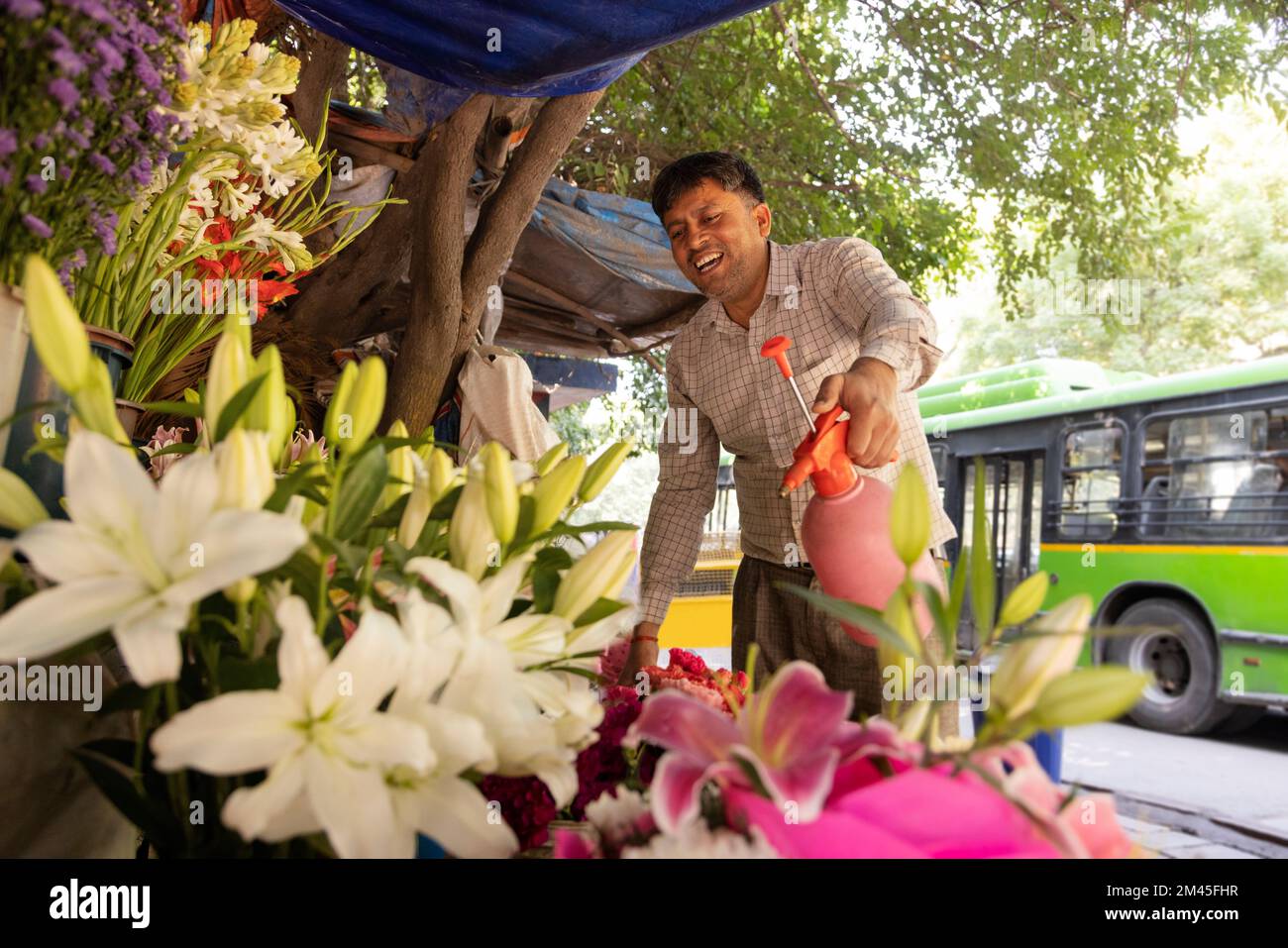 Männlicher Florist, der im Laden Wasser auf Blumen spritzt Stockfoto