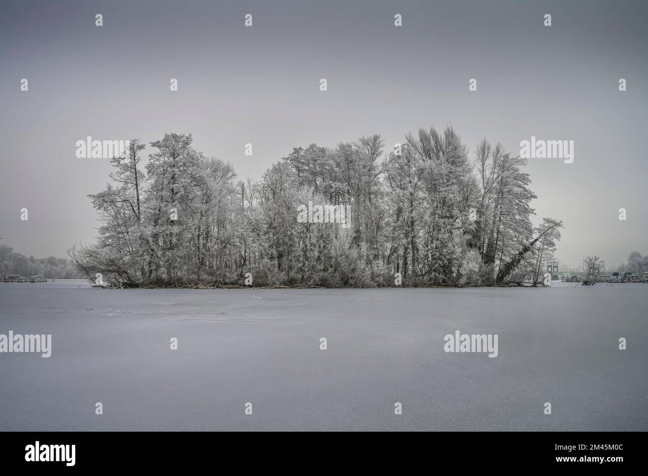 Pionierinsel, Havel, Eis, Winter, Eiswerder, Hakenfelde, Spandau, Berlin, Deutschland Stockfoto