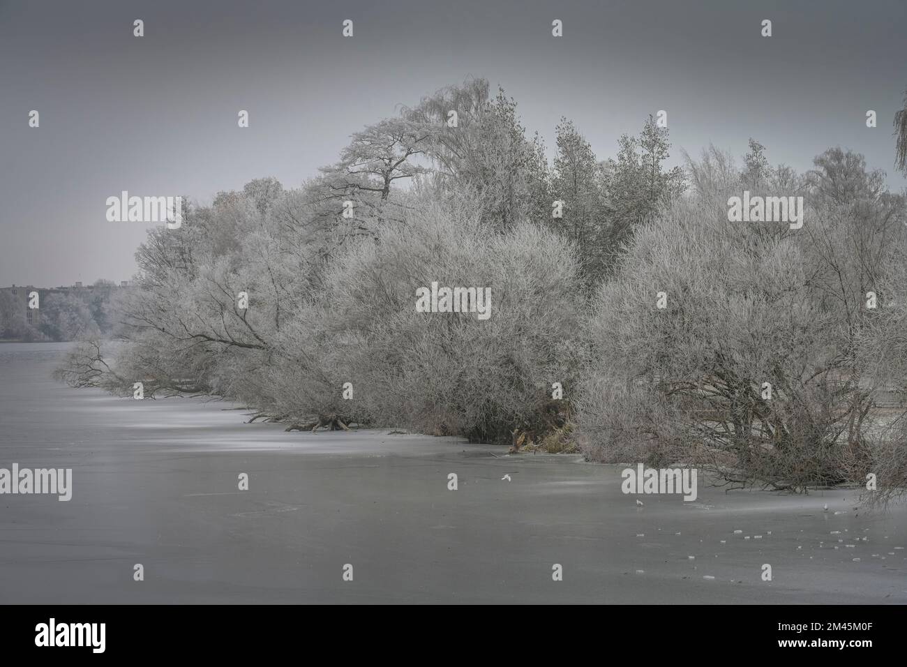Insel Eiswerder, Eis, Winter, Hakenfelde, Spandau, Berlin, Deutschland Stockfoto