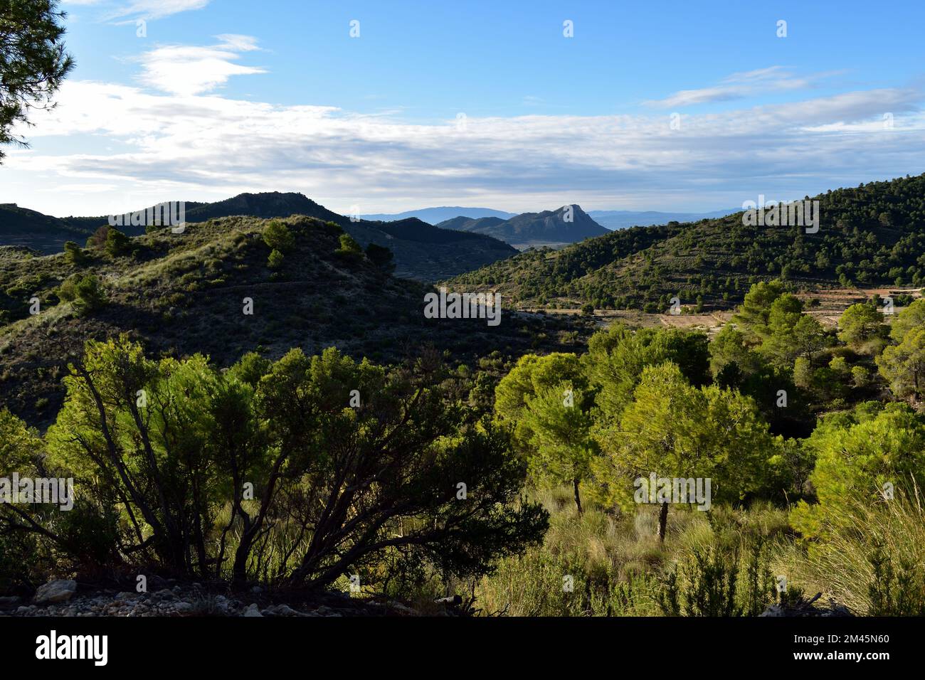 Spanische Berglandschaft mit baumbedeckten Hängen Stockfoto