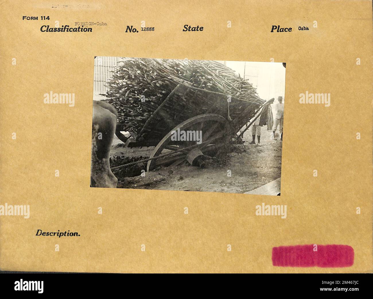 Kuba. Staat: Kuba. Stockfoto