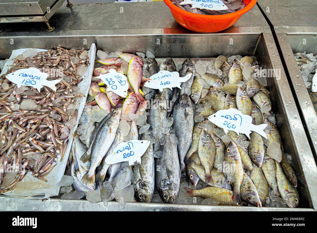 Fisch zum Verkauf, Munnar, Bezirk Idukki, Kerala, Indien Stockfoto