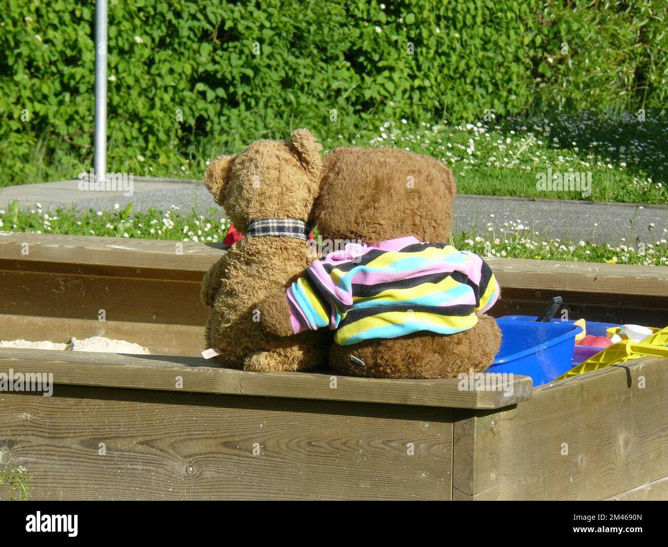 Ein süßer Blick auf zwei kuschelige Teddybären, die vor grünen Pflanzen in einem Garten sitzen Stockfoto