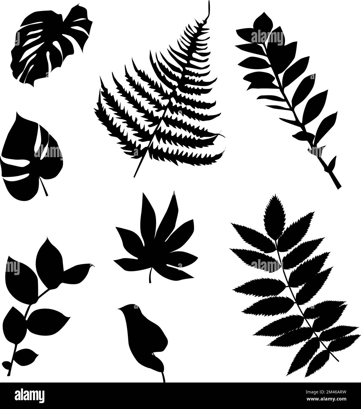 Vektor hinterlässt Silhouetten auf isoliertem weißem Hintergrund. Sehr detailliert. Stock Vektor