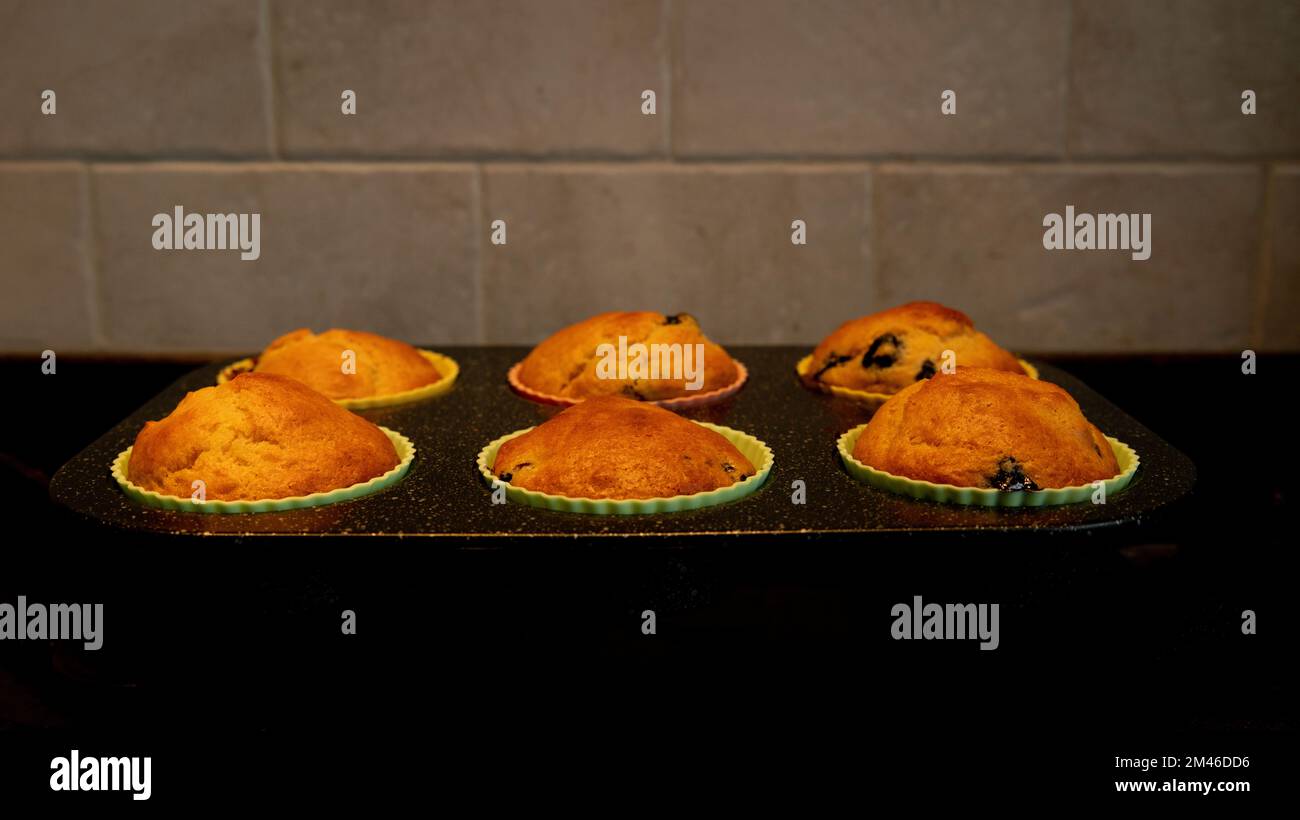 Muffins oder Cupcakes mit Blaubeeren in Muffindosen mit den Küchenfliesen im Hintergrund Stockfoto
