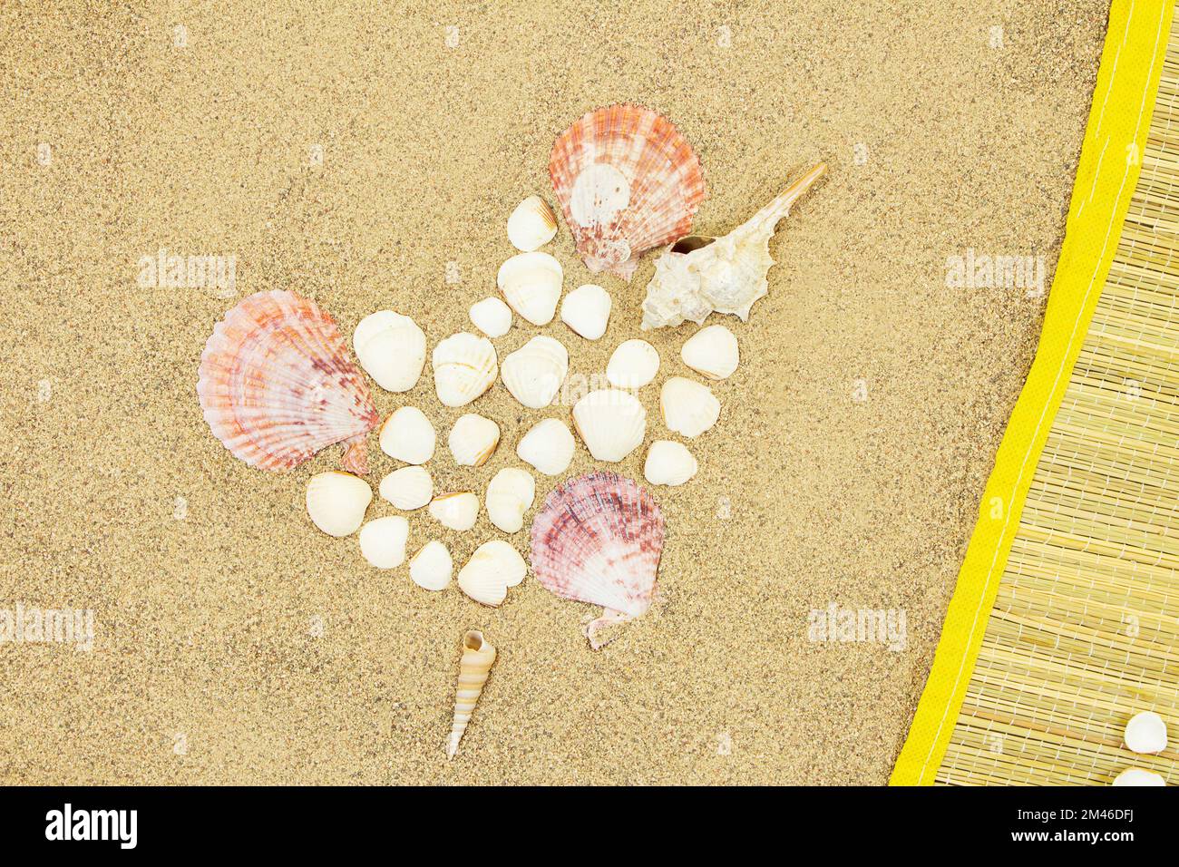 Herz aus Muscheln und weißen Muscheln, Strohliegen auf Sand. Valentinstag, Reisen, Urlaub Stockfoto