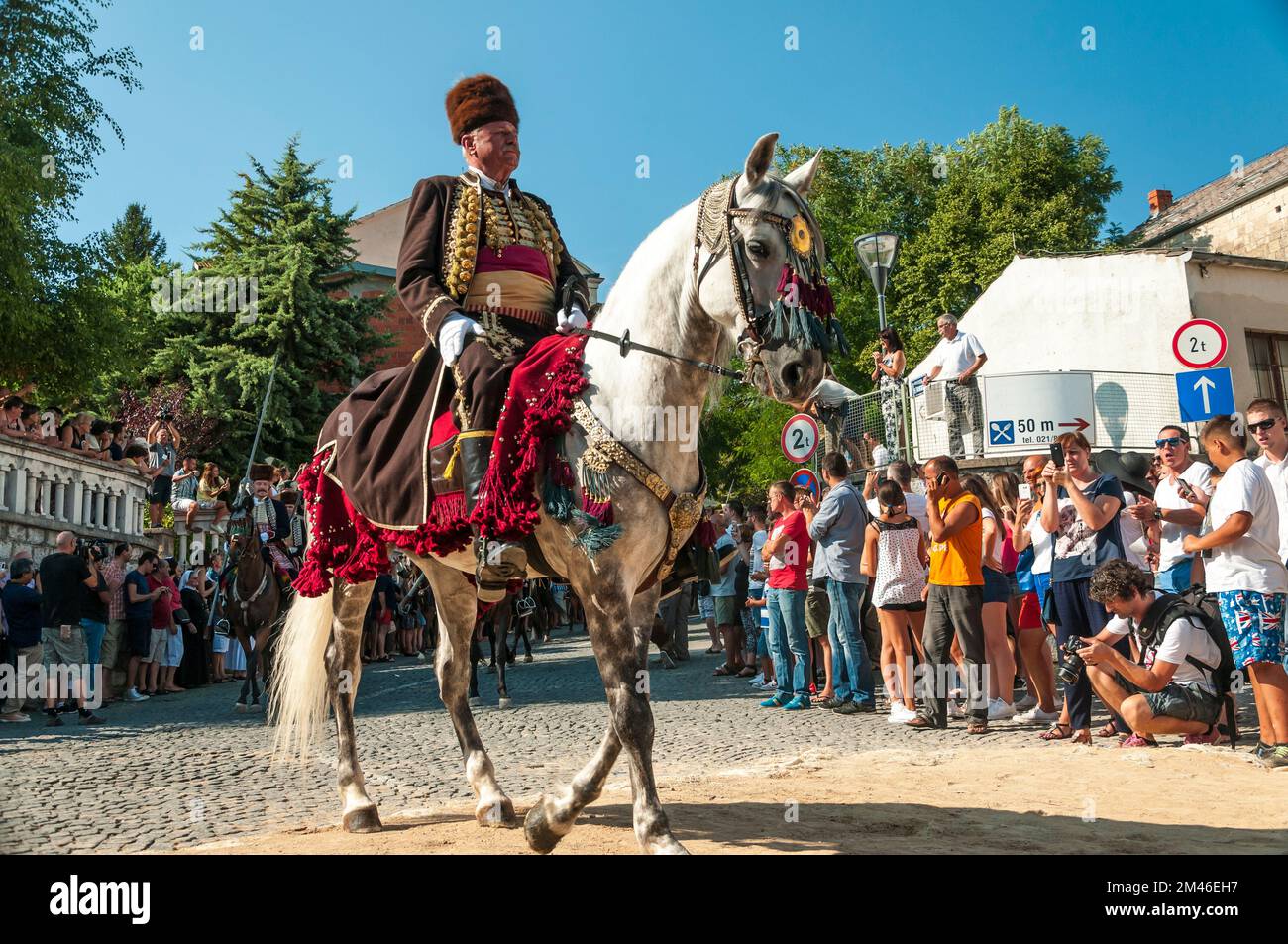 Ante Vucic, Meister der 300. alka von sinj, Kommandeur der Prozession, reitet mit 300 auf seinem Pferd. Das Alka-Festival in Signo (Sinj), Kroatien, fand am 09 statt. Stockfoto