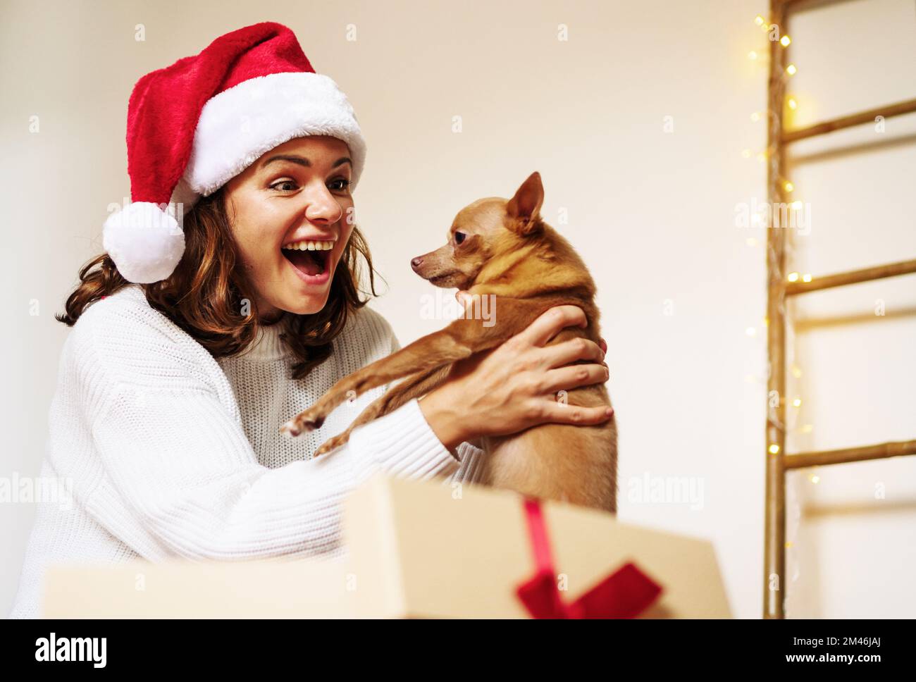 Eine überraschte Frau mit weihnachtsmannmütze, die einen kleinen Hund aus der Weihnachtsgeschenkbox holt. Stockfoto