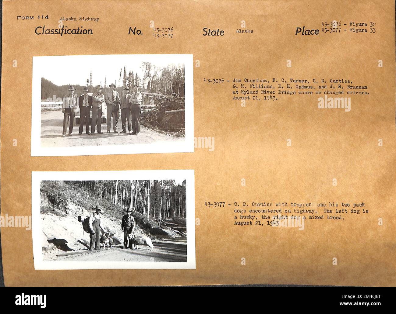 Hyland River Bridge. Originalunterschrift: 43-3076-Männer an der Hyland River Bridge, wo wir den Fahrer wechselten. Originalunterschrift: 43-3077-C.D. curtiss mit Trapper und seinen zwei Packhunden auf der Autobahn. Der linke Hund ist ein Husky, der rechte Hund eine Mischrasse. Staat: Alaska. Stockfoto