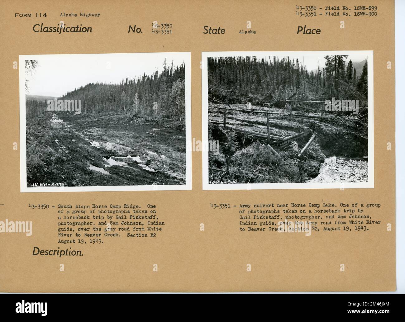 Südhang des Horse Camp Ridge. Originalunterschrift: 43-3350 - South Slope Horse Camp Ridge. Gail Pinkstaff, Fotograf, und Sam Johnson, Indianerführer, machten auf einem Ausritt Fotos von der Armeestraße von White River nach Beaver Creek. Sektion B2, 19. August 1943. Originalunterschrift: 43-3351 - Armeekanal in der Nähe des Horse Camp Lake. Gail Pinkstaff, Fotograf, und Sam Johnson, Indianerführer, machten auf einem Ausritt Fotos von der Armeestraße von White River nach Beaver Creek. Sektion B2, 19. August 1943. Staat: Alaska. Stockfoto