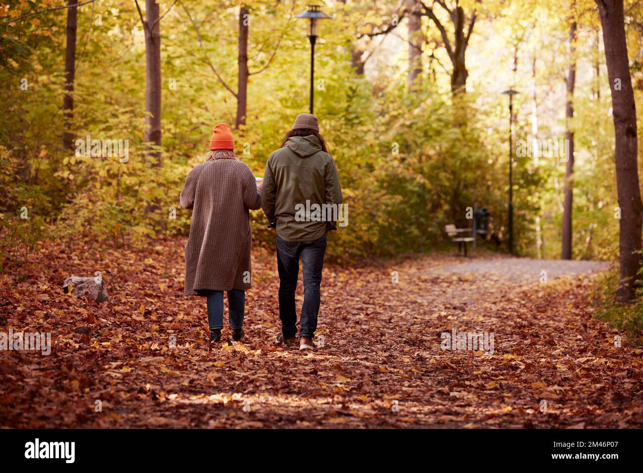 Paare, die im herbstlichen Wald Stockfoto