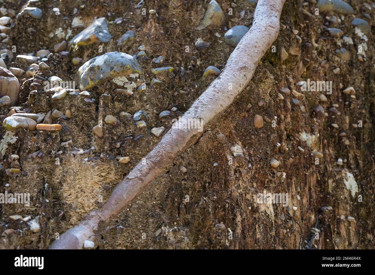 Nahaufnahme der Felssteinoberfläche, ein natürliches Phänomen, das durch die Erosion des Sediments verursacht wird, das entlang des Wasserlaufs fließt und einen Sedimentar bildet Stockfoto