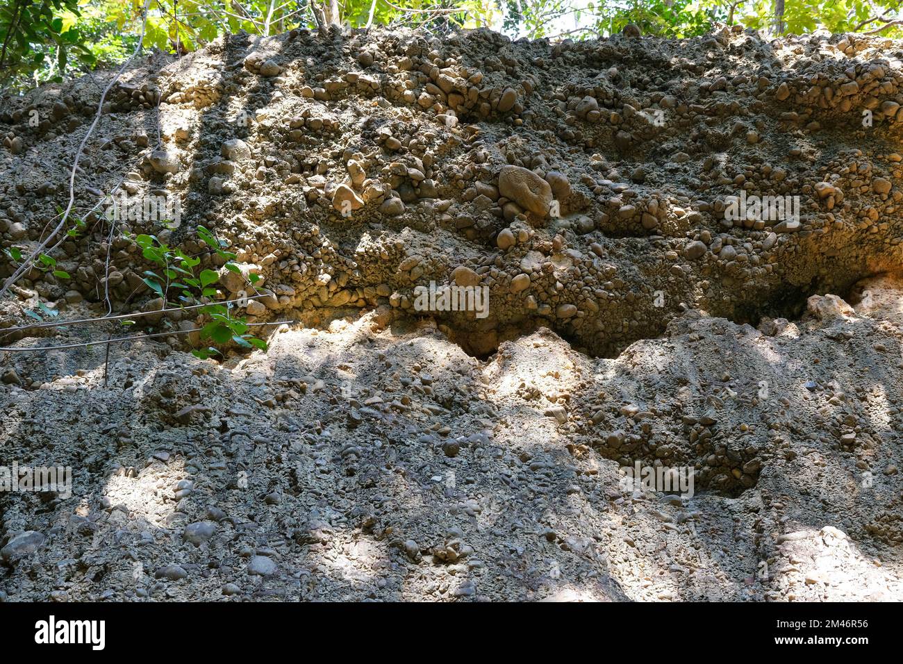 Nahaufnahme der Felssteinoberfläche, ein natürliches Phänomen, das durch die Erosion des Sediments verursacht wird, das entlang des Wasserlaufs fließt und einen Sedimentar bildet Stockfoto