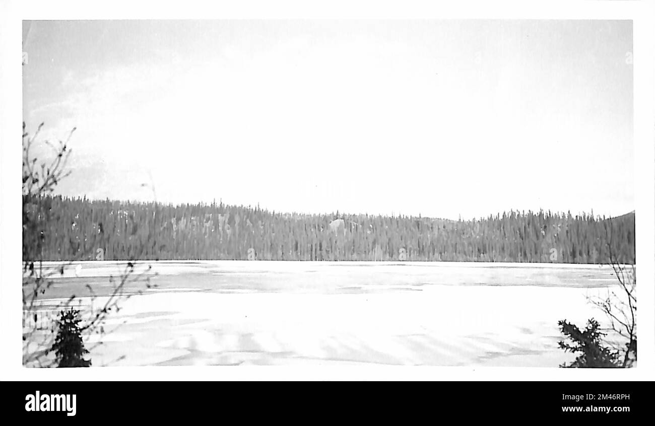 Alaska Highway. Originalunterschrift: Bild Nr. 12/Br. Nr. 3003. Staat: Alaska. Stockfoto