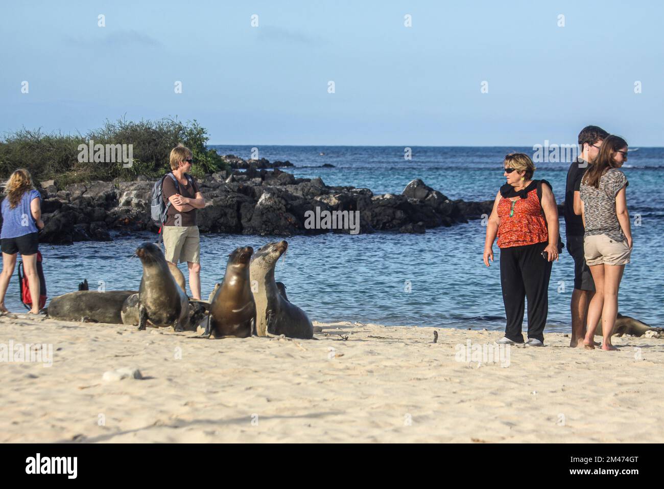 Touristen beobachten die Tierwelt aus nächster Nähe in den Galapagos, Ecuador Stockfoto