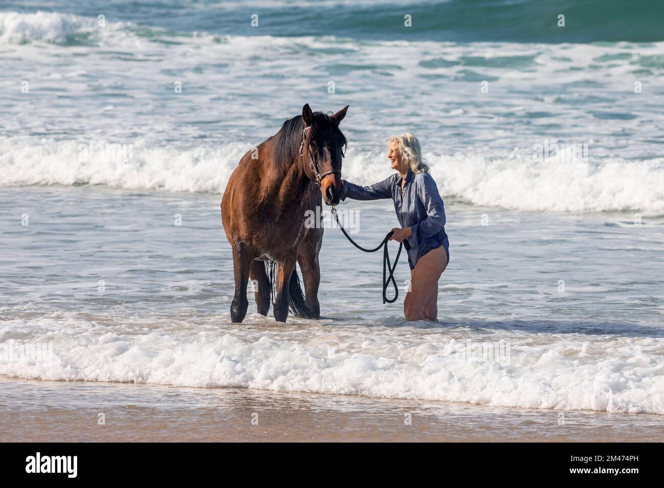 Europa, Portugal, Region Centro, Ferrel, ältere Frau, die am Strand von Praia da Almagreira ihr Lucitano-Pferd arbeitet Stockfoto