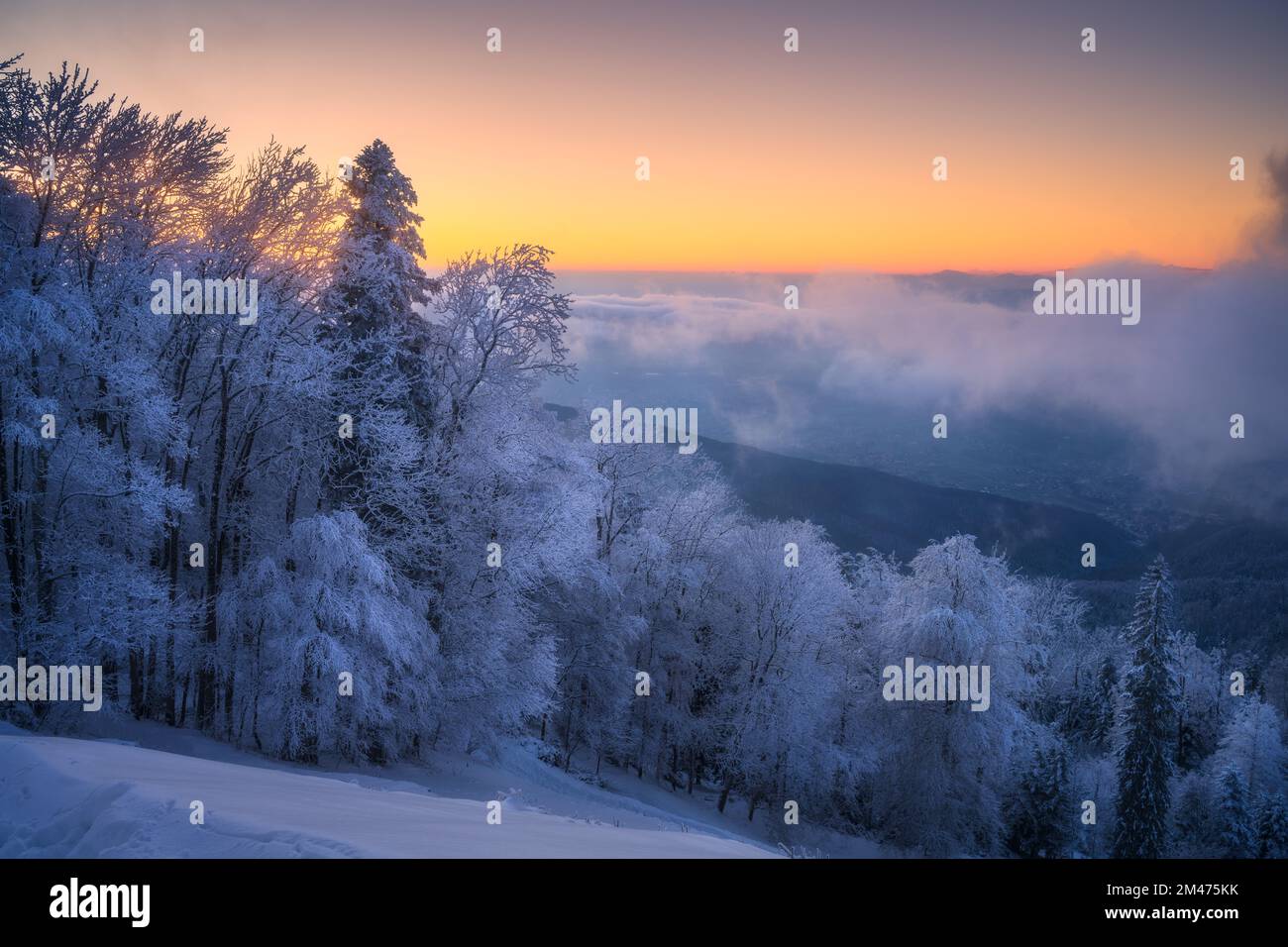 Verschneiter Wald und niedrige Wolken im wunderschönen Winter bei Sonnenaufgang Stockfoto