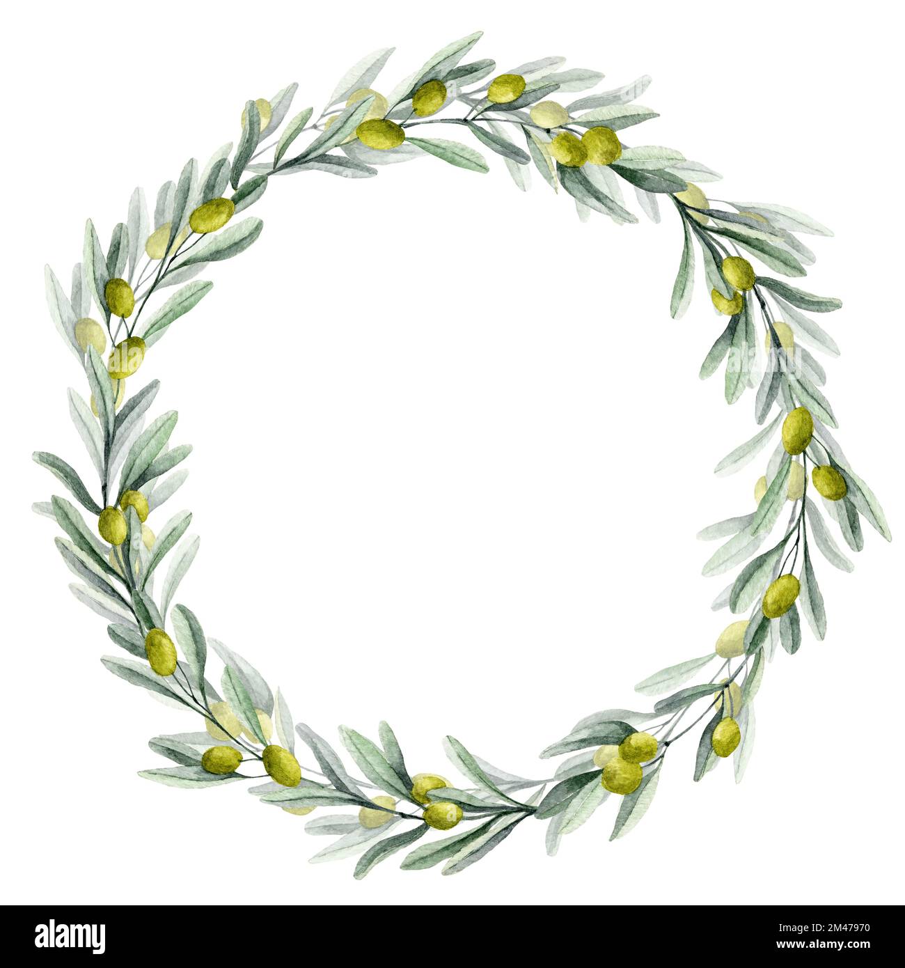 Aquarell Olive Rundkranz mit grünen Blättern und Früchten. Kreisrahmen für Hochzeitseinladungen oder Grußkarten. Handgezeichnete Blumenzeichnung auf isoliertem Hintergrund. Botanische Lorbeerzeichnung. Stockfoto