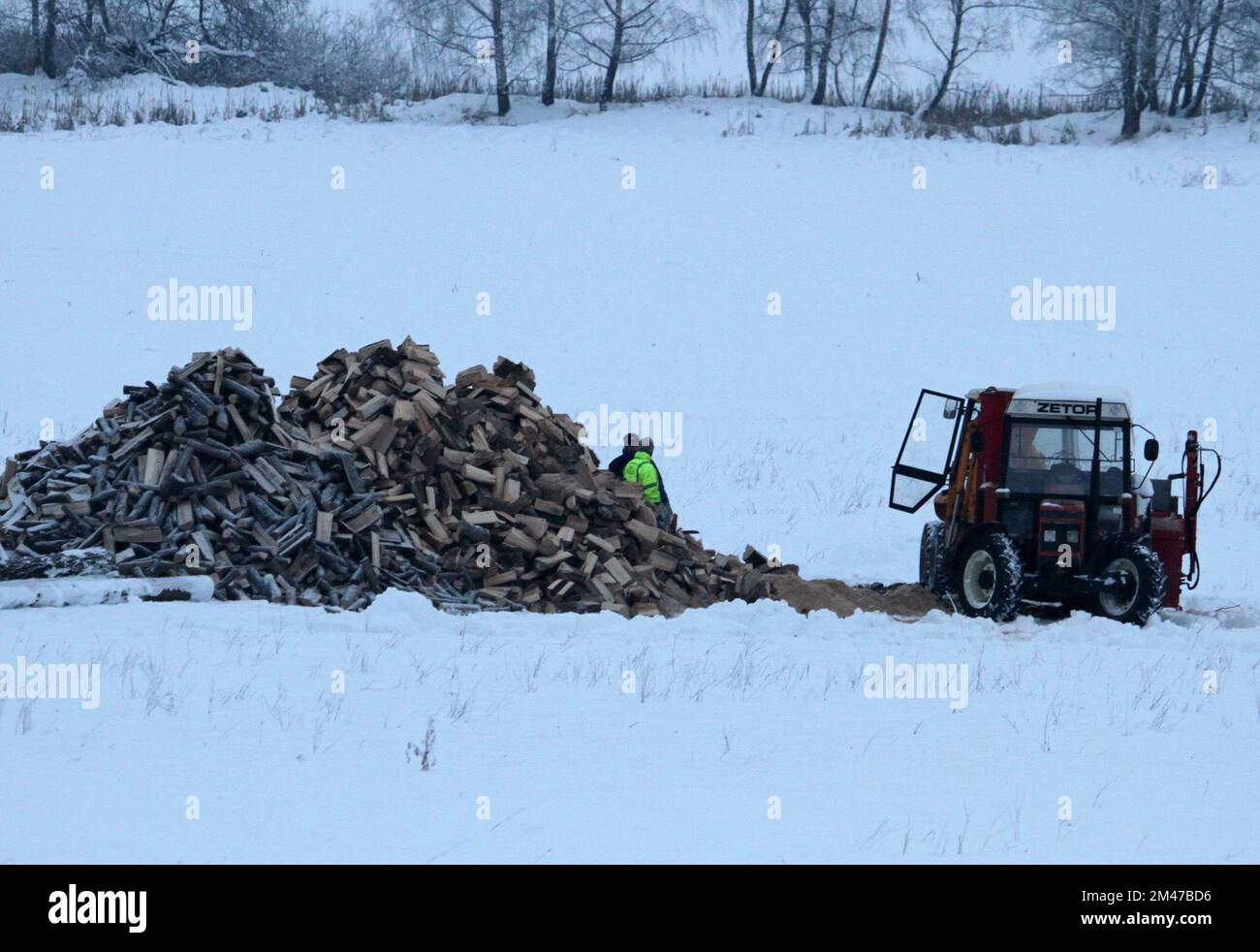 Tschechien wandte sich dem Holz zu, um ihre Häuser in der Tschechischen Republik zu heizen, Bildmaterial zur Vorbereitung und zum Transport von Holz zum Heizen in Dobra Voda, Tschechische Republik, Dez. Stockfoto