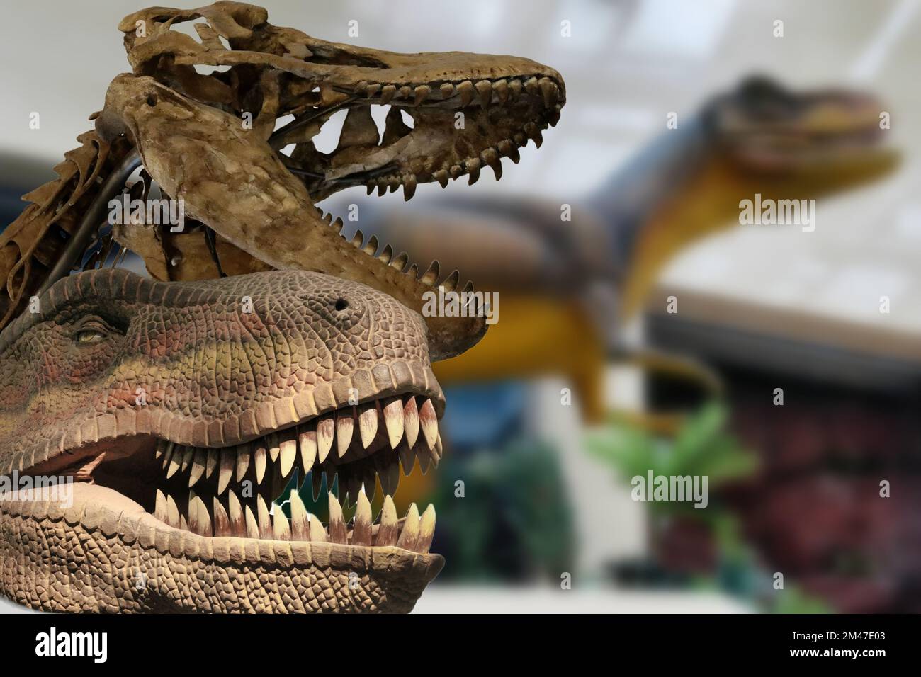 Tyrannosaurus Rex (T Rex) Stockfoto