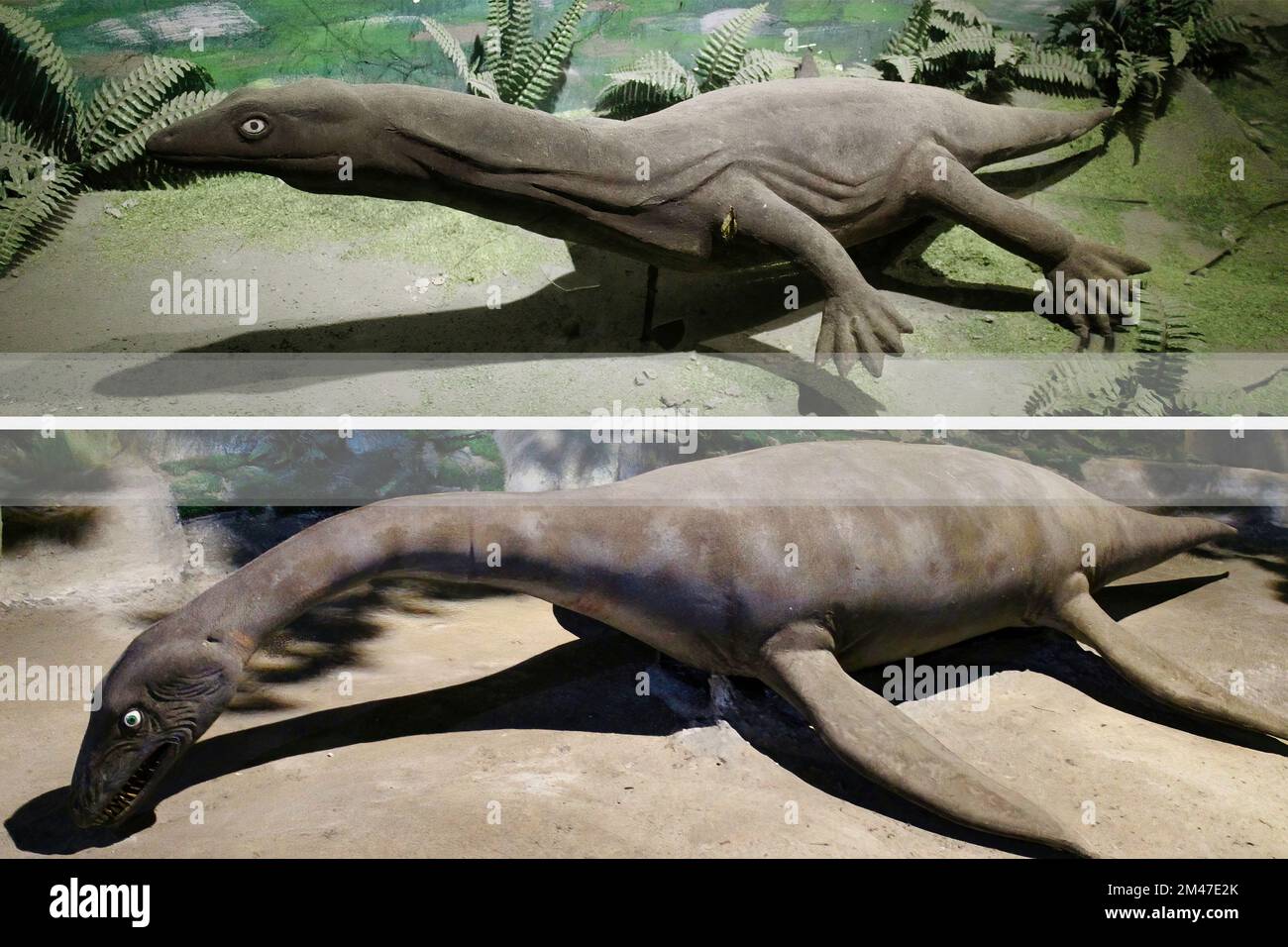 Realistische Rekonstruktion einiger Dinosaurierarten Stockfoto