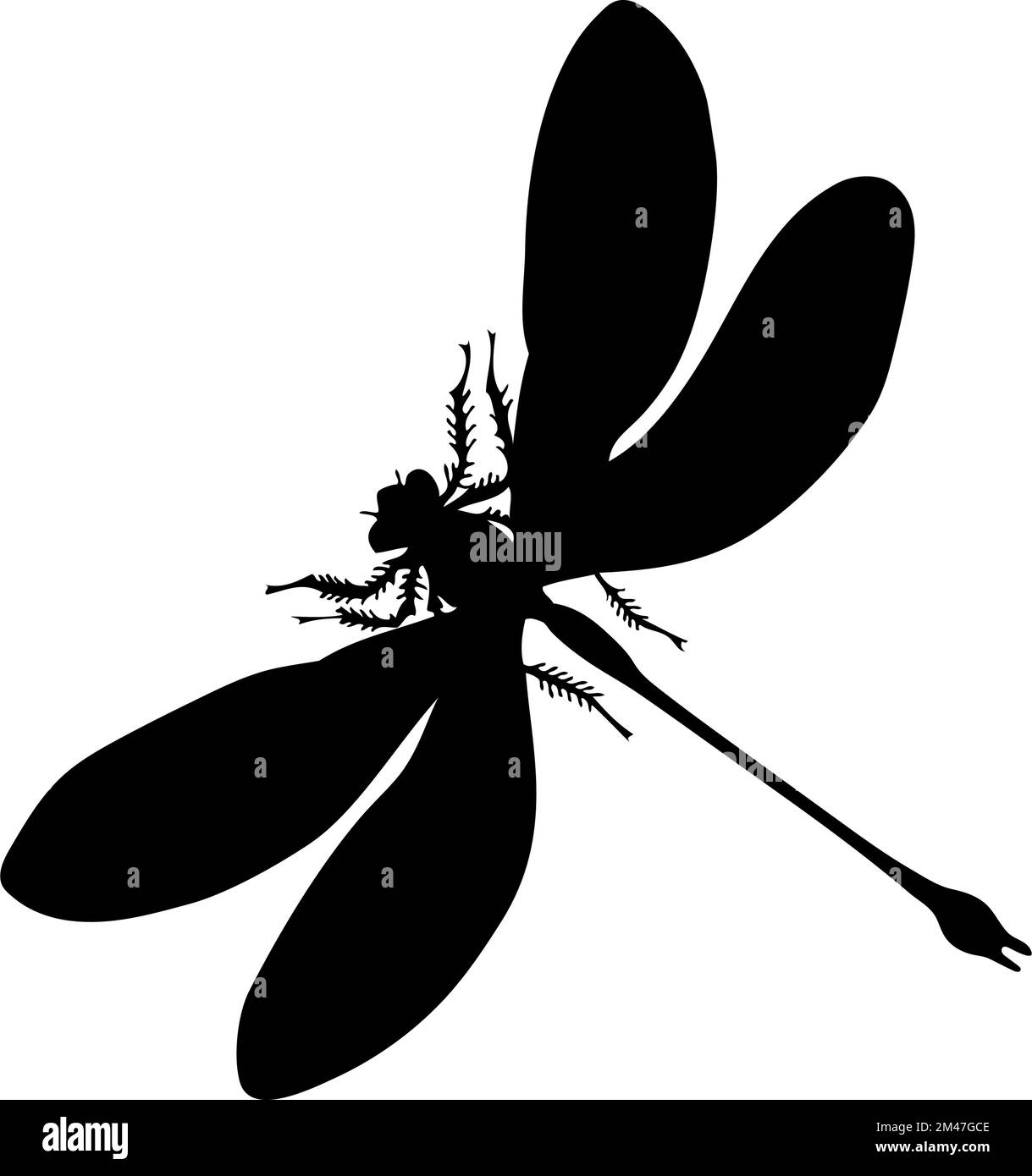 Silhouette der Libelle. Libelle Nahaufnahme detailliert. Vektor-Libelle-Symbol auf weißem Hintergrund. Stock Vektor