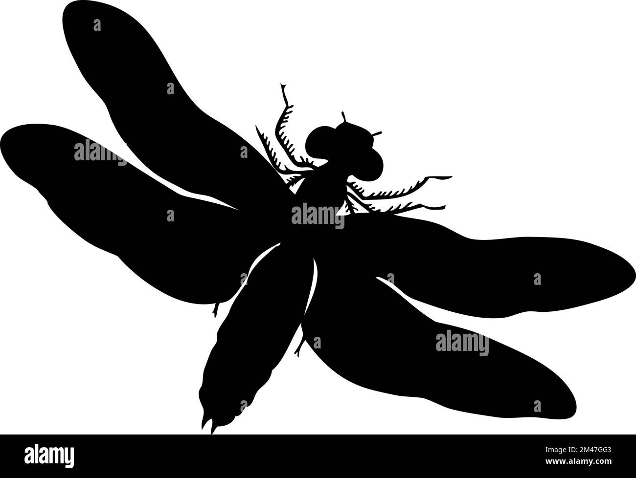 Silhouette der Libelle. Libelle Nahaufnahme detailliert. Vektor-Libelle-Symbol auf weißem Hintergrund. Stock Vektor