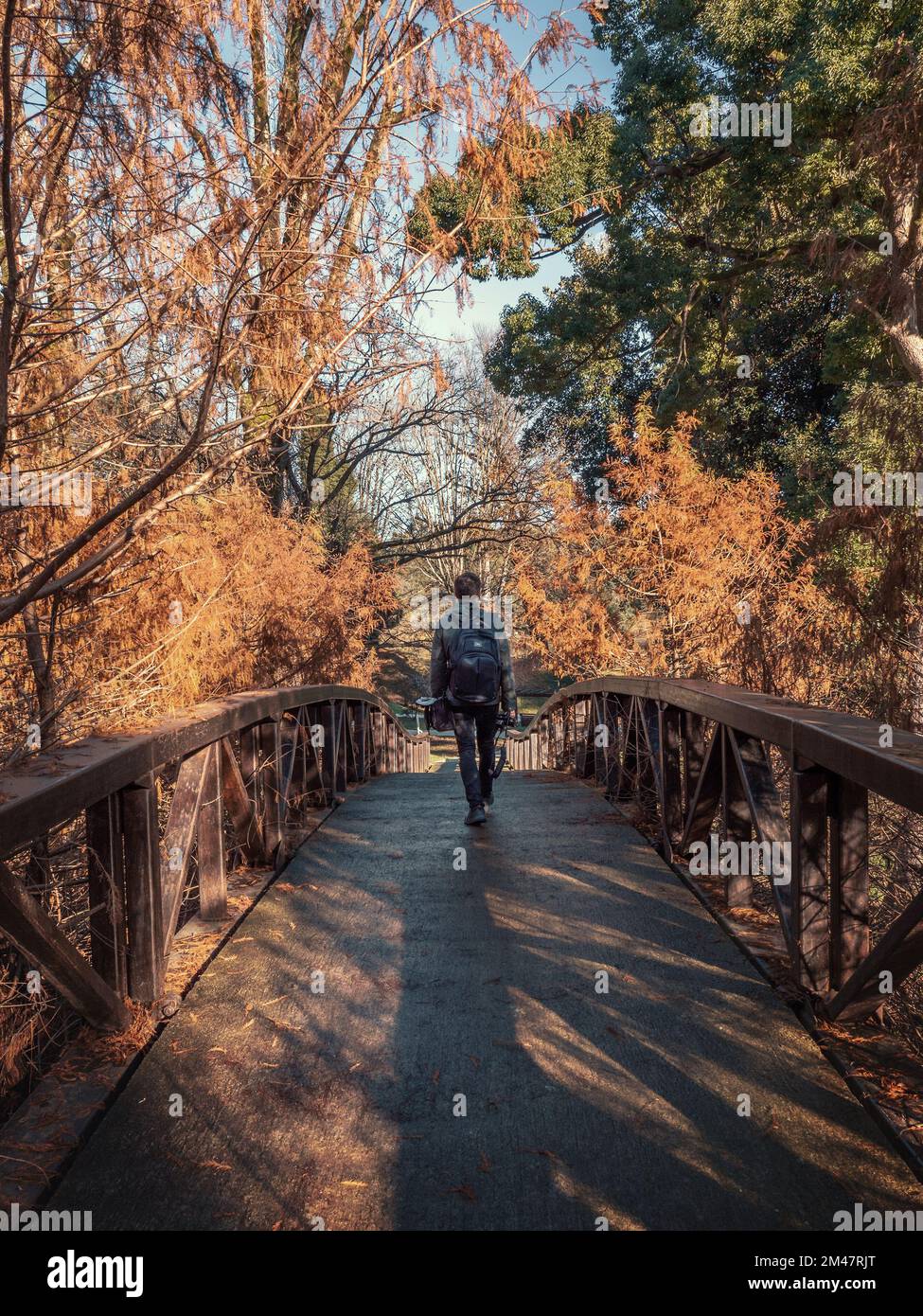 Mann mit Rucksack auf Brücke im Herbst-Waldpark. Reise-, Abenteuer- und Tourismuskonzept. Stockfoto