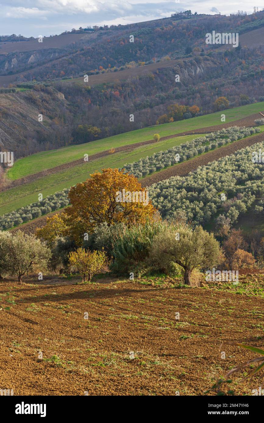 National Parks and Nature Reserves