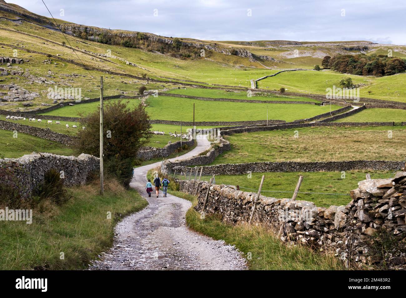 Walkers in Crummackdale, in der Nähe von Austwick, Yorkshire Dales National Park Stockfoto